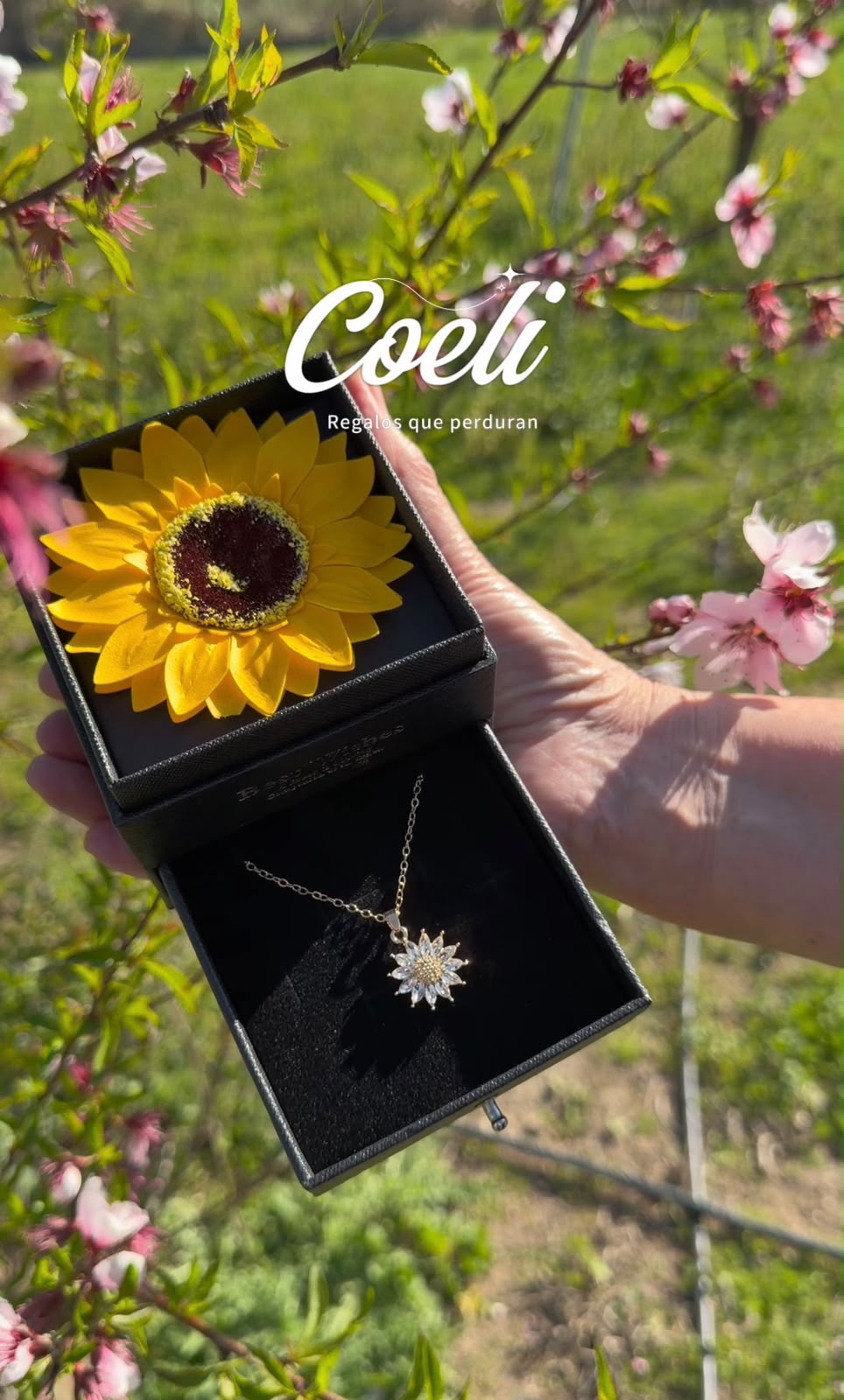 Set joyero girasol y collar al aire libre